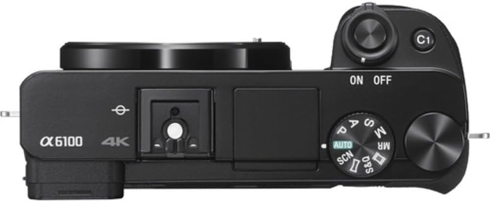 Sony Alpha a6100 Mirrorless Digital Camera with 16-50mm f/3.5-5.6 OSS II and 55-210mm Lenses Bundle with 64GB Card + 2 UV Filters + Card Reader + Card Case + Cleaning Kit + Bag + Cloth (9 Items)