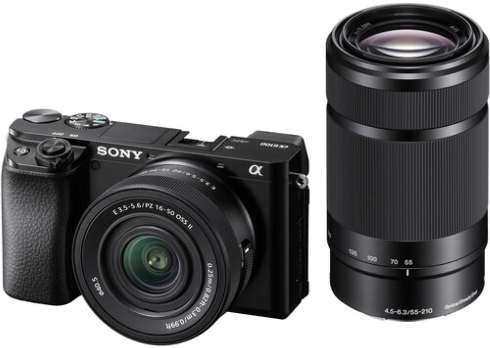 Sony Alpha a6100 Mirrorless Digital Camera with 16-50mm f/3.5-5.6 OSS II and 55-210mm Lenses Bundle with 64GB Card + 2 UV Filters + Card Reader + Card Case + Cleaning Kit + Bag + Cloth (9 Items)