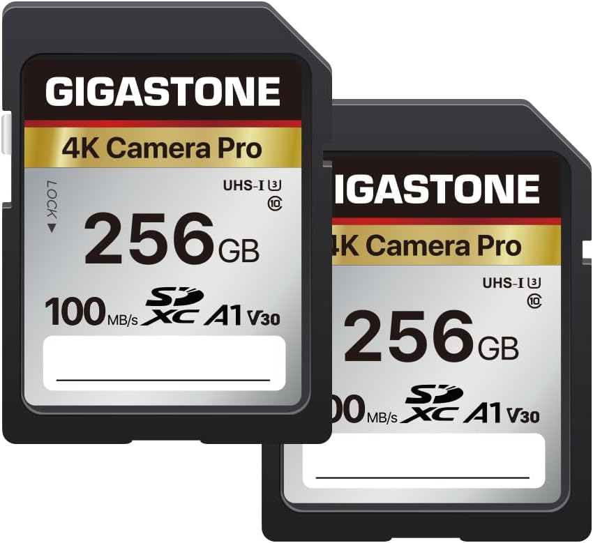 【5-Years Data Recovery】 GIGASTONE 256GB SD Card 2-Pack, 4K Camera Pro, A1 V30 SDXC Memory Card 4K UHD Video Compatible with Canon Digital Camera, with 2 Mini Cases