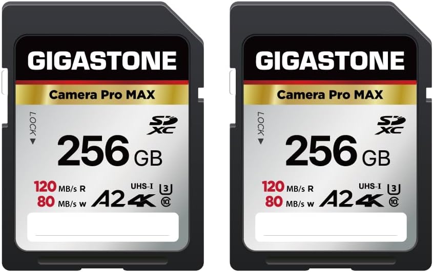 【5-Years Data Recovery】 GIGASTONE 256GB SD Card 2-Pack, 4K Camera Pro MAX, A2 4K SDXC Memory Card High Speed 4K UHD Video Compatible with Canon Kodak Digital Camera, with 2 Mini case