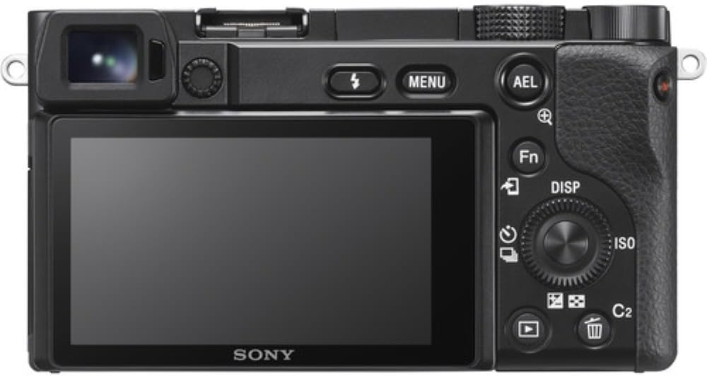 Sony Alpha a6100 Mirrorless Digital Camera with 16-50mm f/3.5-5.6 OSS II and 55-210mm Lenses Bundle with 64GB Card + 2 UV Filters + Card Reader + Card Case + Cleaning Kit + Bag + Cloth (9 Items)