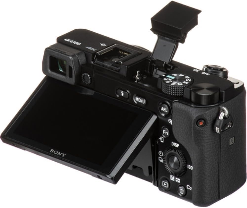 Sony Alpha a6100 Mirrorless Digital Camera with 16-50mm f/3.5-5.6 OSS II Lens Bundle with UV Filter + Memory Card + Card Reader + Memory Case + Cleaning Kit + Camera Bag + Cleaning Cloth (8 Items)
