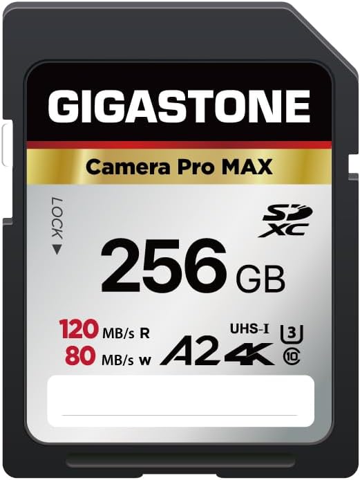 【5-Years Data Recovery】 GIGASTONE 256GB SD Card, 4K Camera Pro MAX, A2 4K SDXC Memory Card High Speed 4K UHD Video Compatible with Canon Kodak Digital Camera, with 1 Mini case