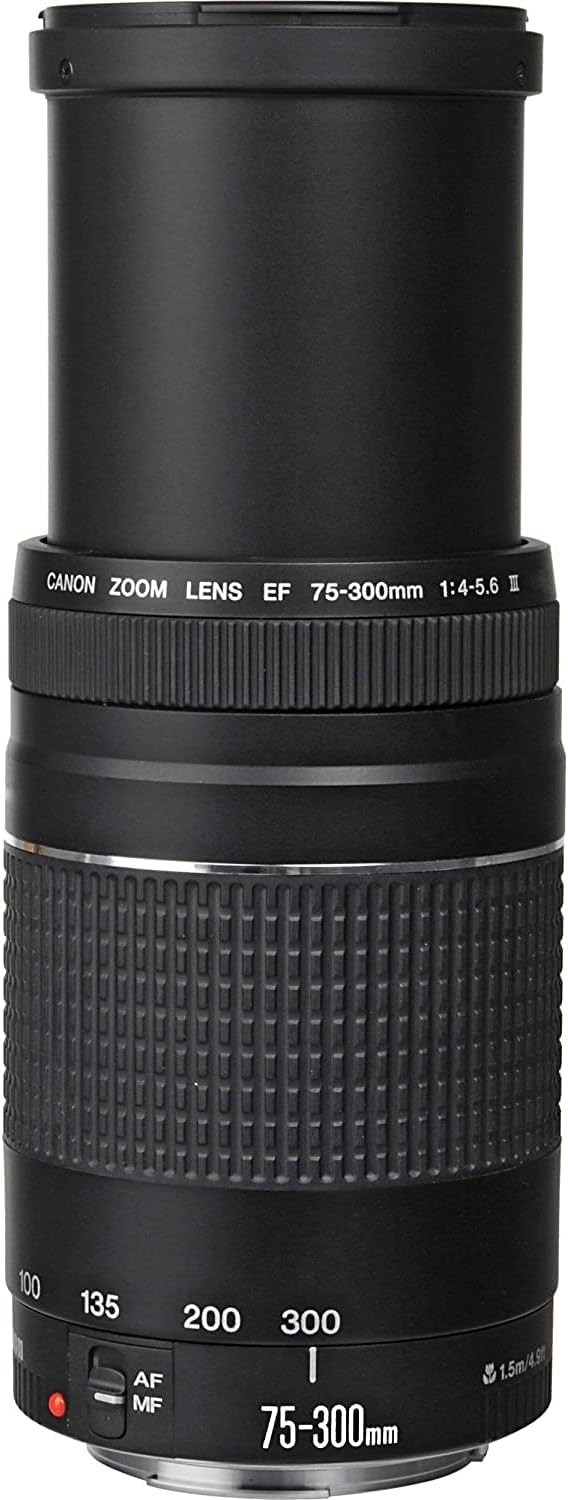Black Canon EOS 2000D Rebel T7 DSLR Camera with EF S 18 55mm DC III and 75 300mm III Lenses canon2000D32gb canon2000D32gb (Renewed)