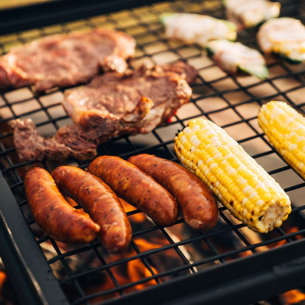 TITAN GREAT OUTDOORS Ash & Ember Adjustable Swivel Grill, Steel Mesh Wire Cooking Grate with Spike Pole, Open Fire Portable BBQ Camping Gear