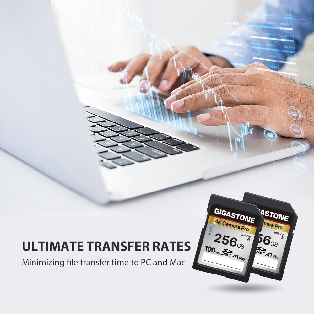 【5-Years Data Recovery】 GIGASTONE 256GB SD Card 2-Pack, 4K Camera Pro, A1 V30 SDXC Memory Card 4K UHD Video Compatible with Canon Digital Camera, with 2 Mini Cases