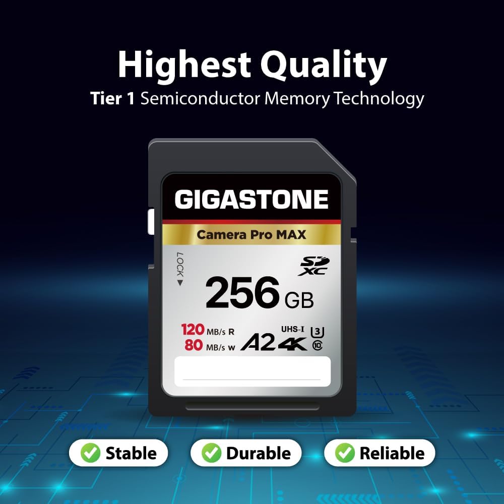 【5-Years Data Recovery】 GIGASTONE 256GB SD Card 2-Pack, 4K Camera Pro MAX, A2 4K SDXC Memory Card High Speed 4K UHD Video Compatible with Canon Kodak Digital Camera, with 2 Mini case