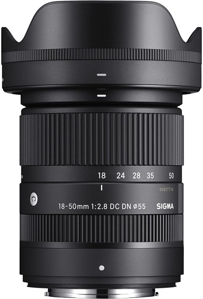 Sony Alpha a6100 Mirrorless Digital Camera Body Bundle with Sigma 18-50mm f/2.8 DC DN Contemporary Lens + 64GB Memory Card + UV Filter + Charger + Camera Bag + Cleaning Kit + Cloth (7 Items)