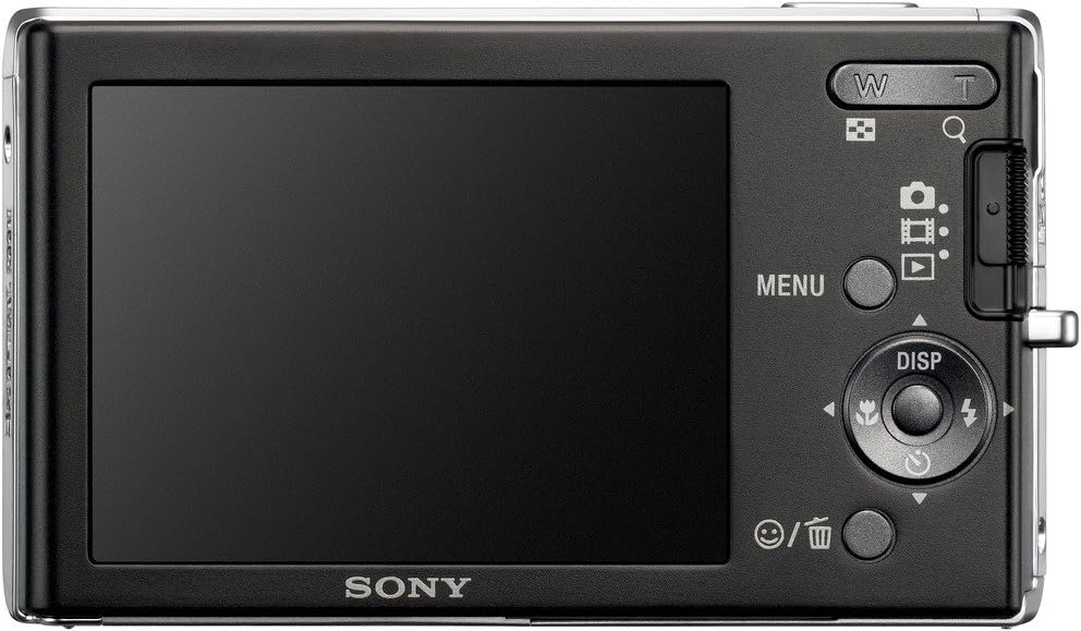 Sony Cybershot DSC-W190 12.1MP Digital Camera with 3x Super Steady Shot Stabilized Zoom and 2.7 inch LCD (Black)