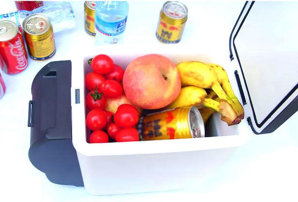 Mini Fridge,12V DC Portable Thermoelectric Cooler and Warmer 6L Little Tiny Refrigerator Electric Cooler for Skincare, Beverage, Food, Home, Office and Car