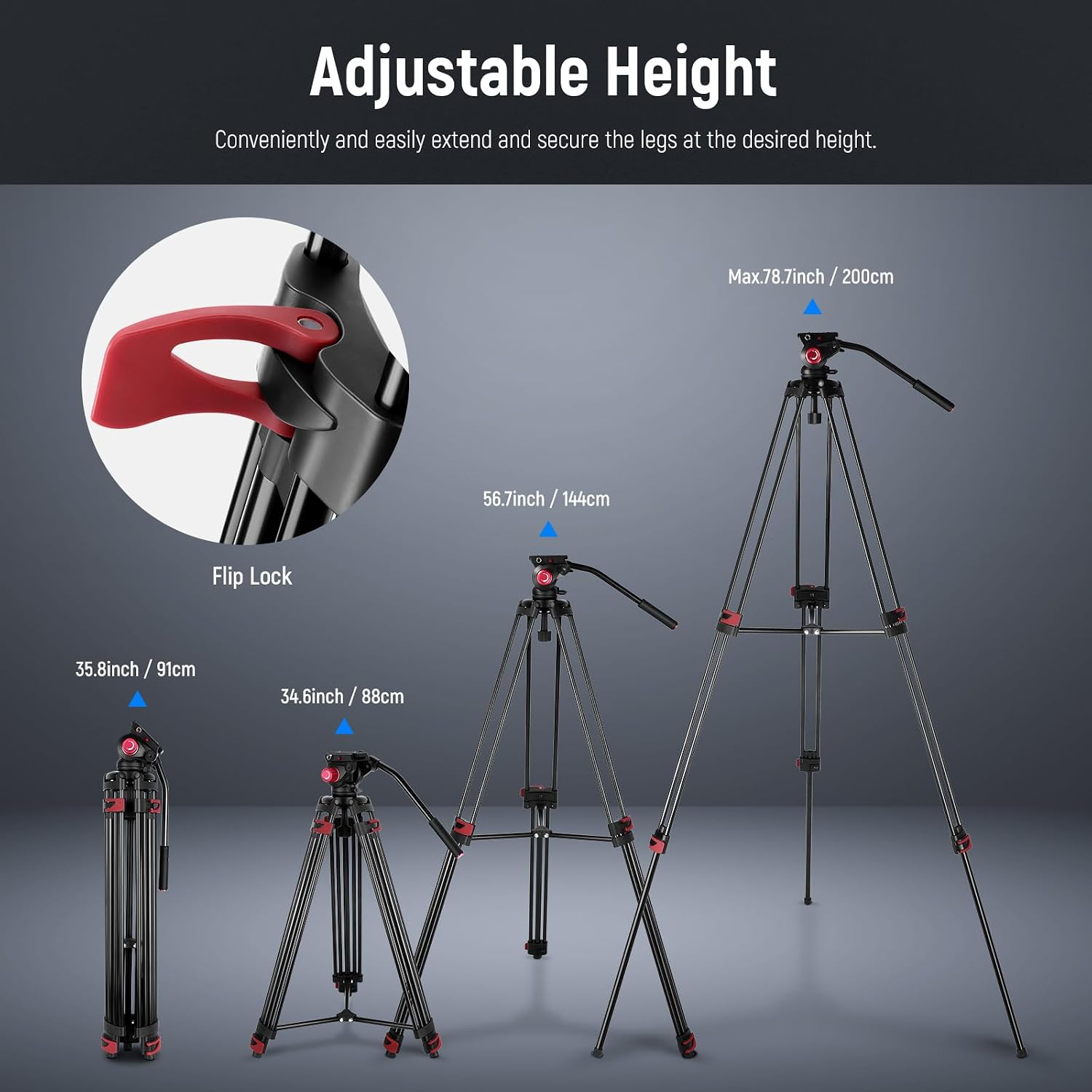 NEEWER 79'/200cm Video Tripod, Heavy Duty Aluminum Alloy Camera Tripod Stand with 360° Fluid Drag Head, QR Plate Compatible with Canon Nikon Sony and Other DSLR Camera Camcorder, Load Up to 17.6lb/8kg