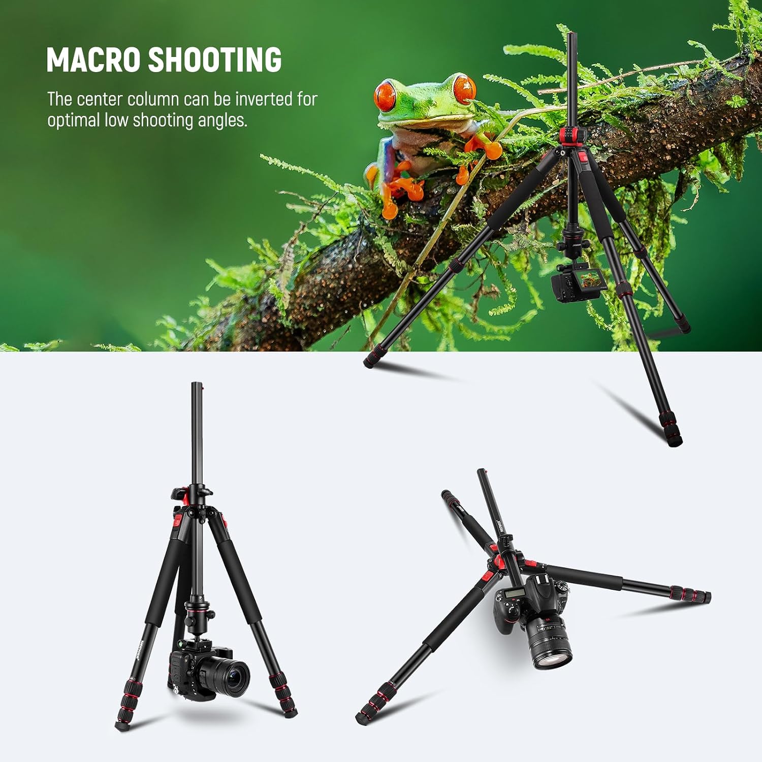 NEEWER 79 inch Camera Tripod Monopod with Center Column and Ball Head Aluminum, Arca Type QR Plate, Bag, Horizontal Tripod Overhead Camera Mount for DSLR Camera, Video Camcorder, Max Load: 33lb