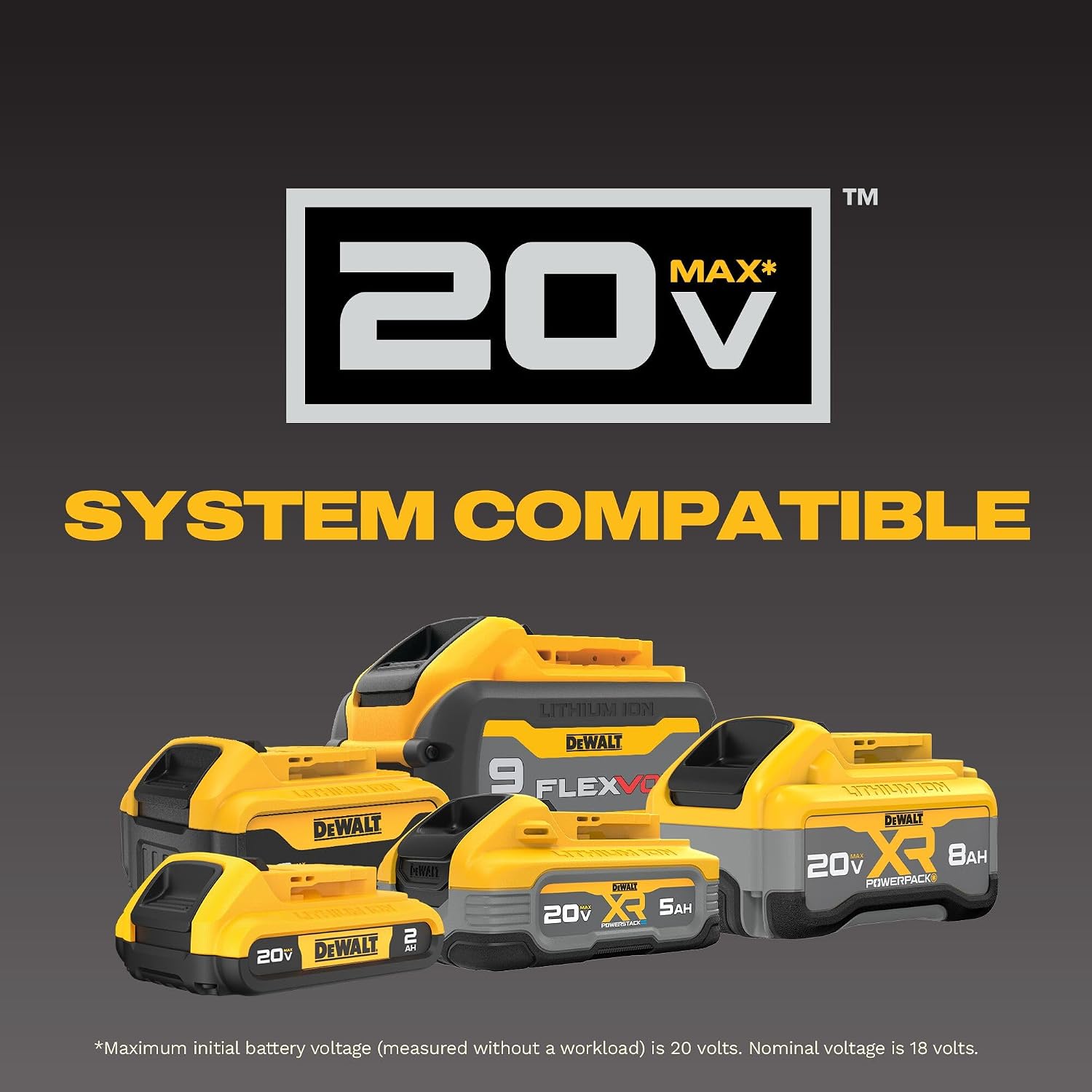 DEWALT 20V MAX 5 Ah Lithium Ion Battery 2-Pack (DCB205-2)