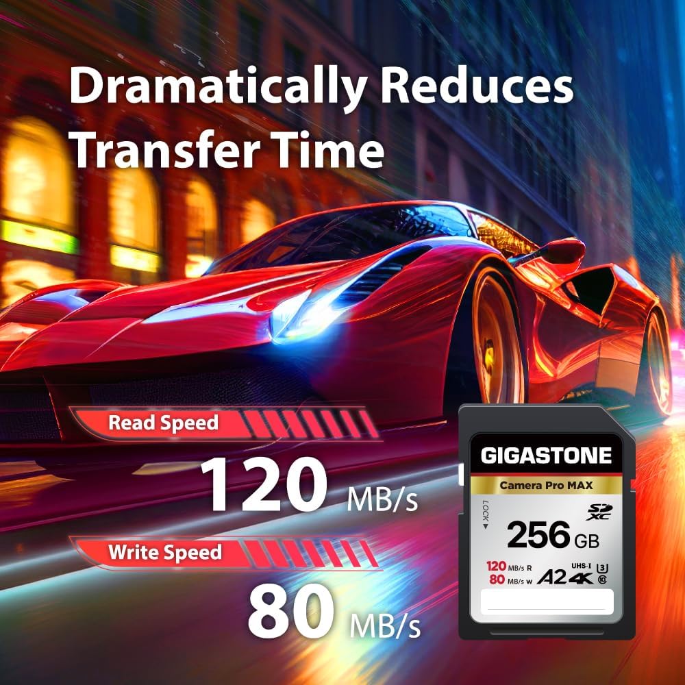 【5-Years Data Recovery】 GIGASTONE 256GB SD Card, 4K Camera Pro MAX, A2 4K SDXC Memory Card High Speed 4K UHD Video Compatible with Canon Kodak Digital Camera, with 1 Mini case