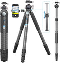 Carbon Fiber Heavy Duty Tripod WEYLLAN 81'' Professional Tripods for Camera, 10-Layer Carbon Fibre Tube, 32.5mm Leg with Low Profile Tripod Ball Head for Canon Nikon Sony, DSLR SLR Digital Camcorder
