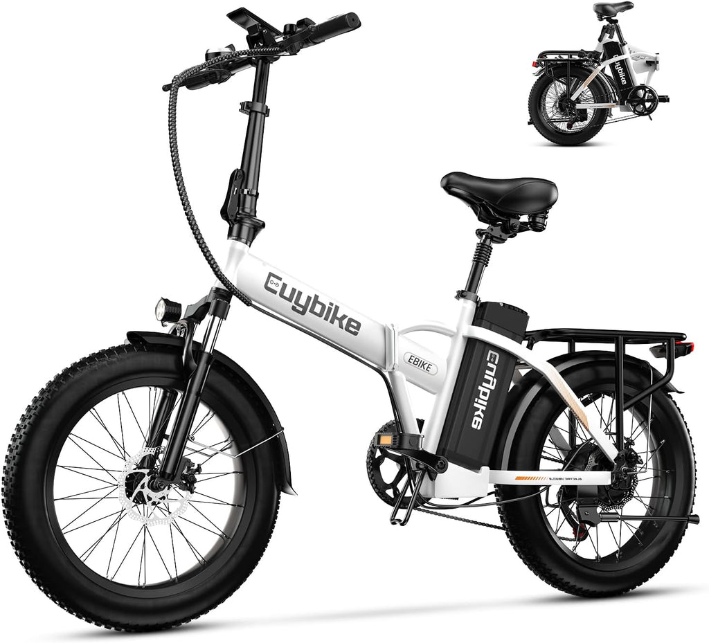 Foldable Electric Bike for Adults, 48V 20Ah Removable Lithium Battery up to 80Miles, 20' Fat Tire 1000W Peak Motor Dirt Ebike Adult Electric Bicycle for Commute Beach Mountain E Bike