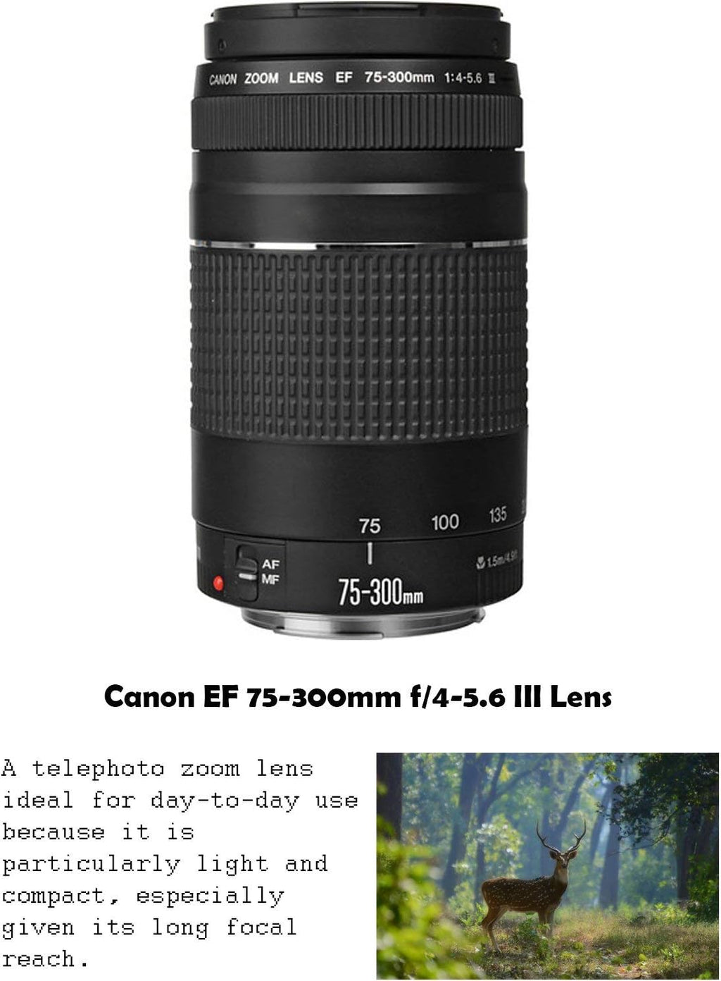 Canon EOS Rebel T7 DSLR Camera Bundle with Canon EF-S 18-55mm f/3.5-5.6 is II Lens + Canon EF 75-300mm f/4-5.6 III Lens + 2pc SanDisk 32GB Memory Cards + Accessory Kit (Renewed)