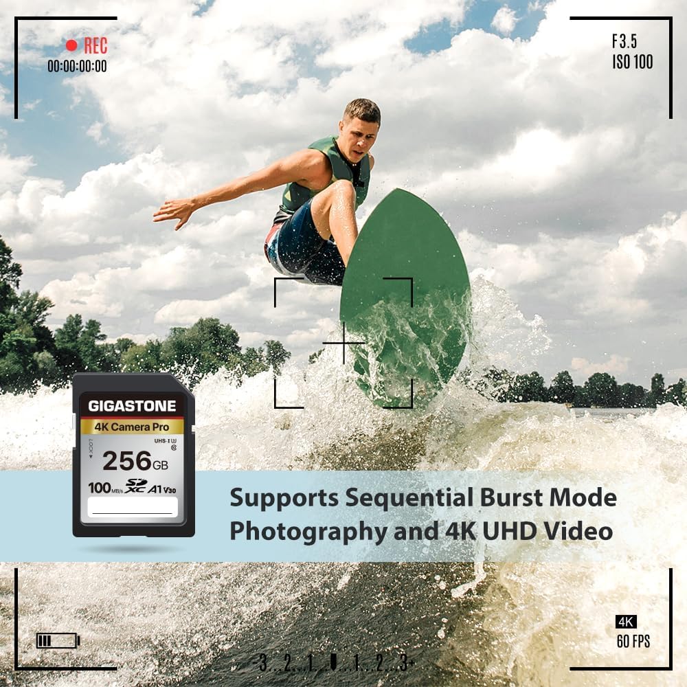 【5-Years Data Recovery】 GIGASTONE 256GB SD Card with USB Type C Card Reader, 4K Camera Pro, A1 V30 U3 SDXC Memory Card Compatible with Canon Digital Camera, with 1 mini case