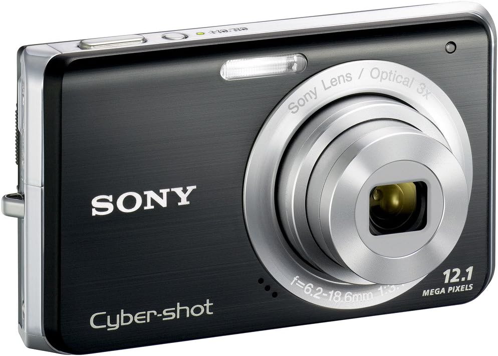 Sony Cybershot DSC-W190 12.1MP Digital Camera with 3x Super Steady Shot Stabilized Zoom and 2.7 inch LCD (Black)