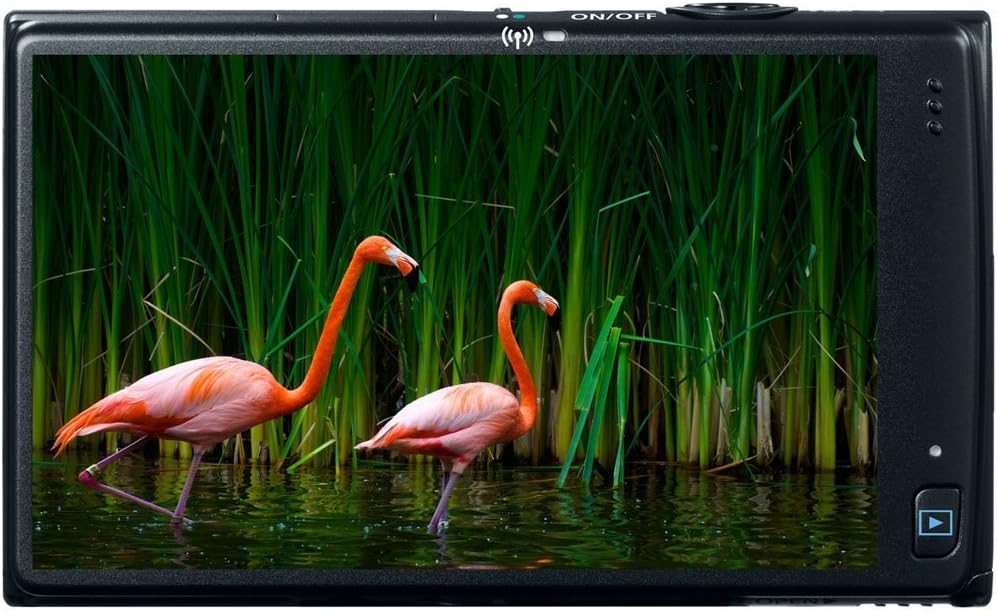Canon ELPH 320 HS 16.1MP Digital Camera with WiFi and 5X Optical Zoom-Black 6024B001