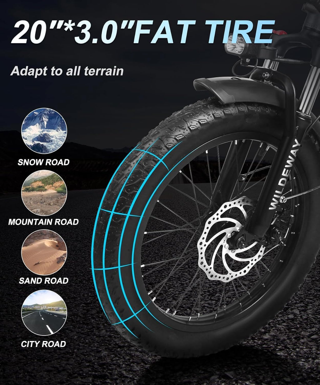 Wildeway Folding Electric Bike for Adults with 750W Motor 32Ah Battery Long Range FW11 Ebike 20 * 3.0 Fat Tire Foldable Adults Electric Bicycle for Men Women City Commuter Delivery 2 Seat