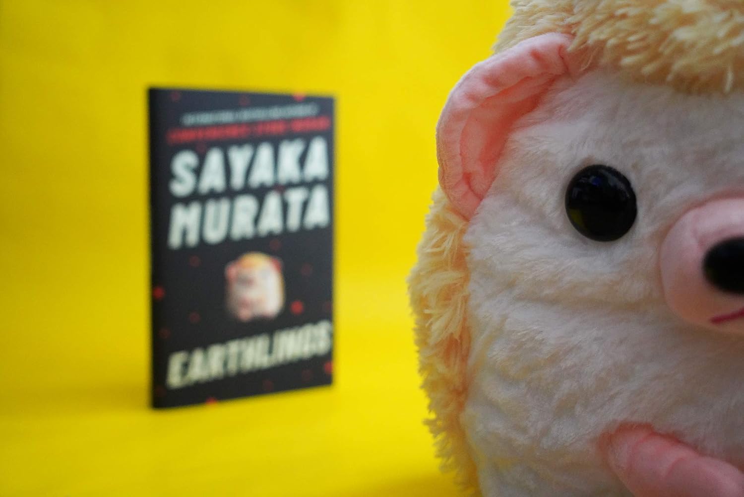 Earthlings: From the author of the international bestseller, Convenience Store Woman: Sayaka Murata