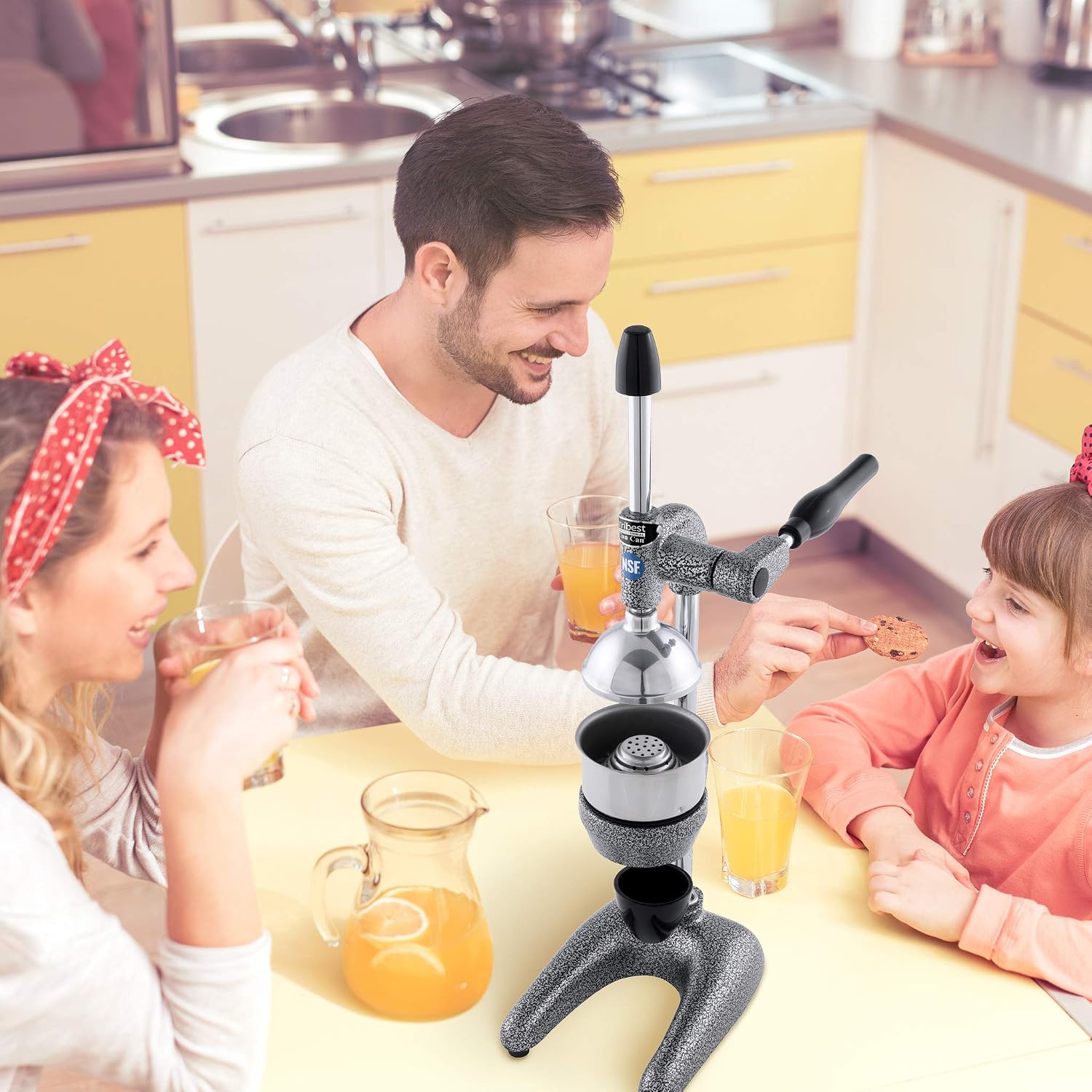 Tribest Pro MJP-100 Professional Manual Cold Press Juicer Machine for Orange, Lemon, and other Citrus Fruits, Gray