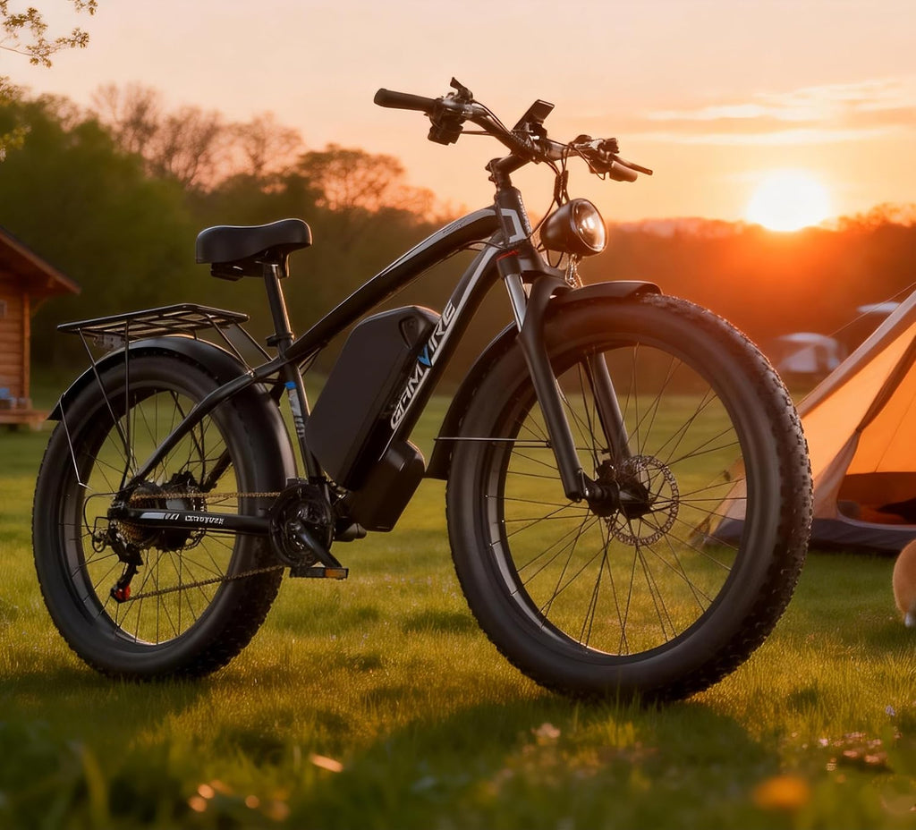Ebike for Adults Electric, 52V 19.2Ah/32Ah, Peak 2000W/3000W Electric Bicycle, 36/40M P H, 70 Miles/100Miles, Off Road Snow Mountain E-Bike, Hydraulic Disc Brake, 24'/26' Fat Tire E Bike UL2849 by SGS