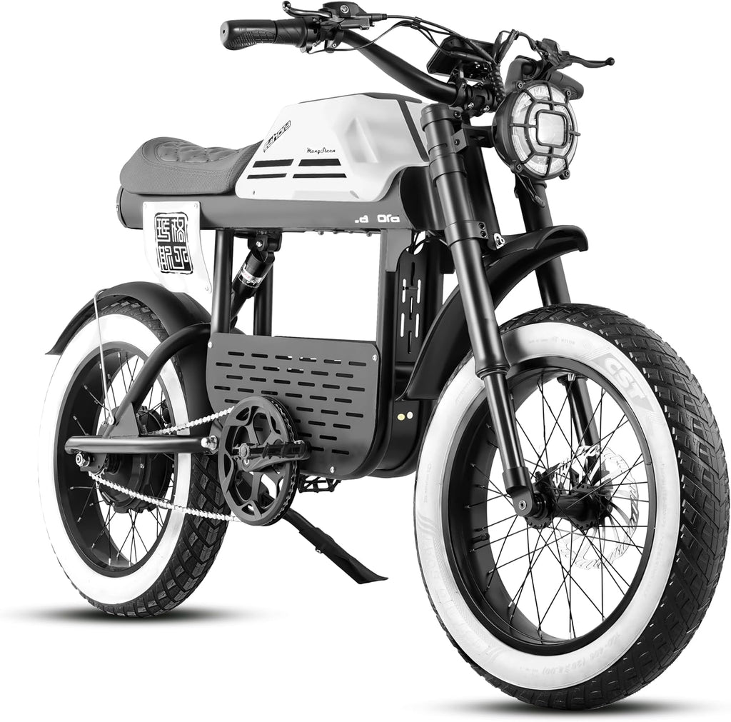FT01 1700W Electric Dirt Bike 36MPH with 48V 30Ah, 135MM Front Fork & Dual Disc Hydraulic Brakes, 90Miles Long Range Electric Bike, 20' Fat Tire electric motorcycle for adults, electric scooter