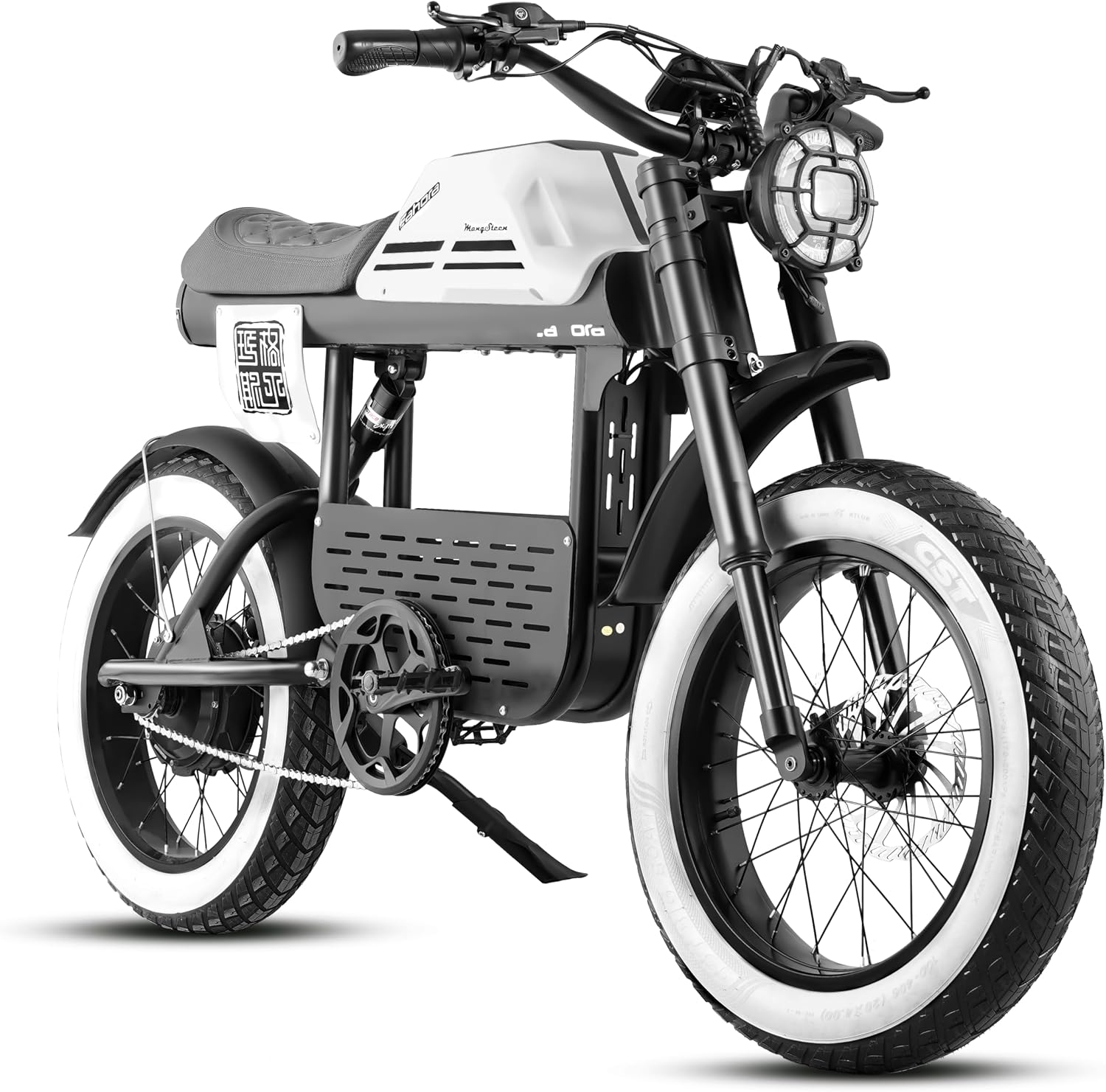 FT01 1700W Electric Dirt Bike 36MPH with 48V 30Ah, 135MM Front Fork & Dual Disc Hydraulic Brakes, 90Miles Long Range Electric Bike, 20' Fat Tire electric motorcycle for adults, electric scooter