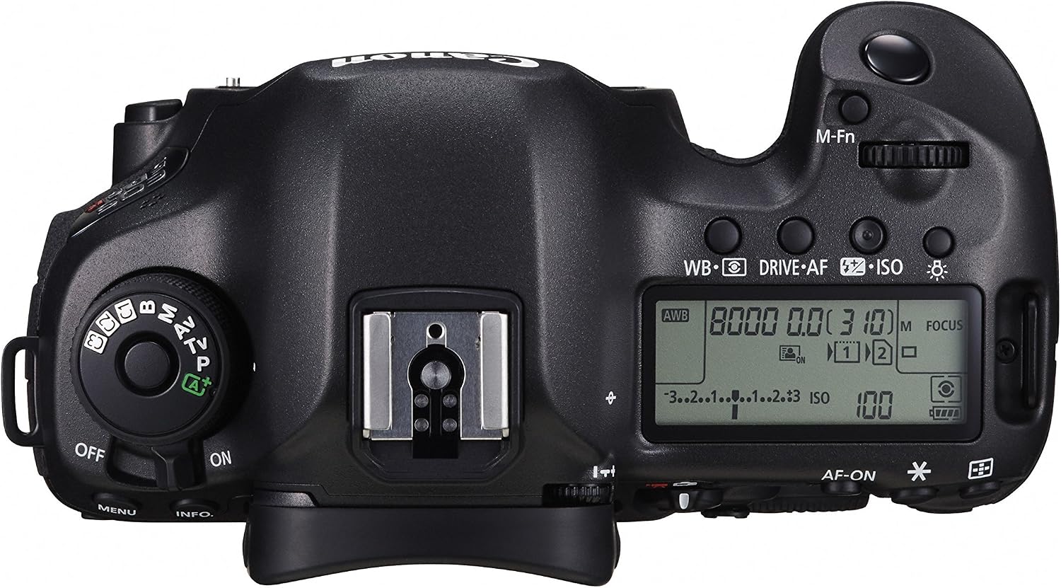 Canon EOS 5DS R Digital SLR with Low-Pass Filter Effect Cancellation (Body Only) (Renewed)