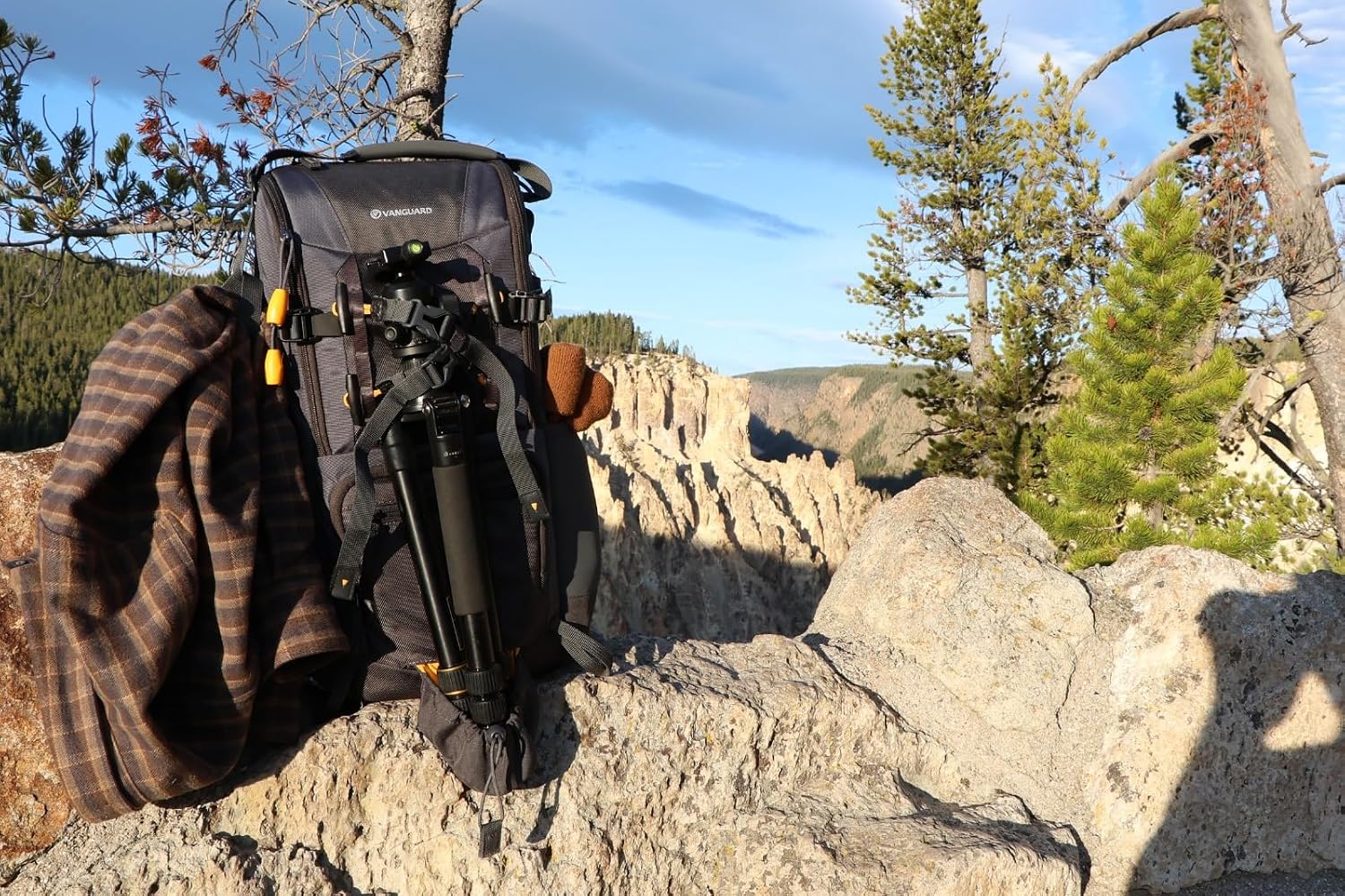 VANGUARD Alta Sky 45D Camera Backpack for Sony, Nikon, Canon, DSLR, Drones