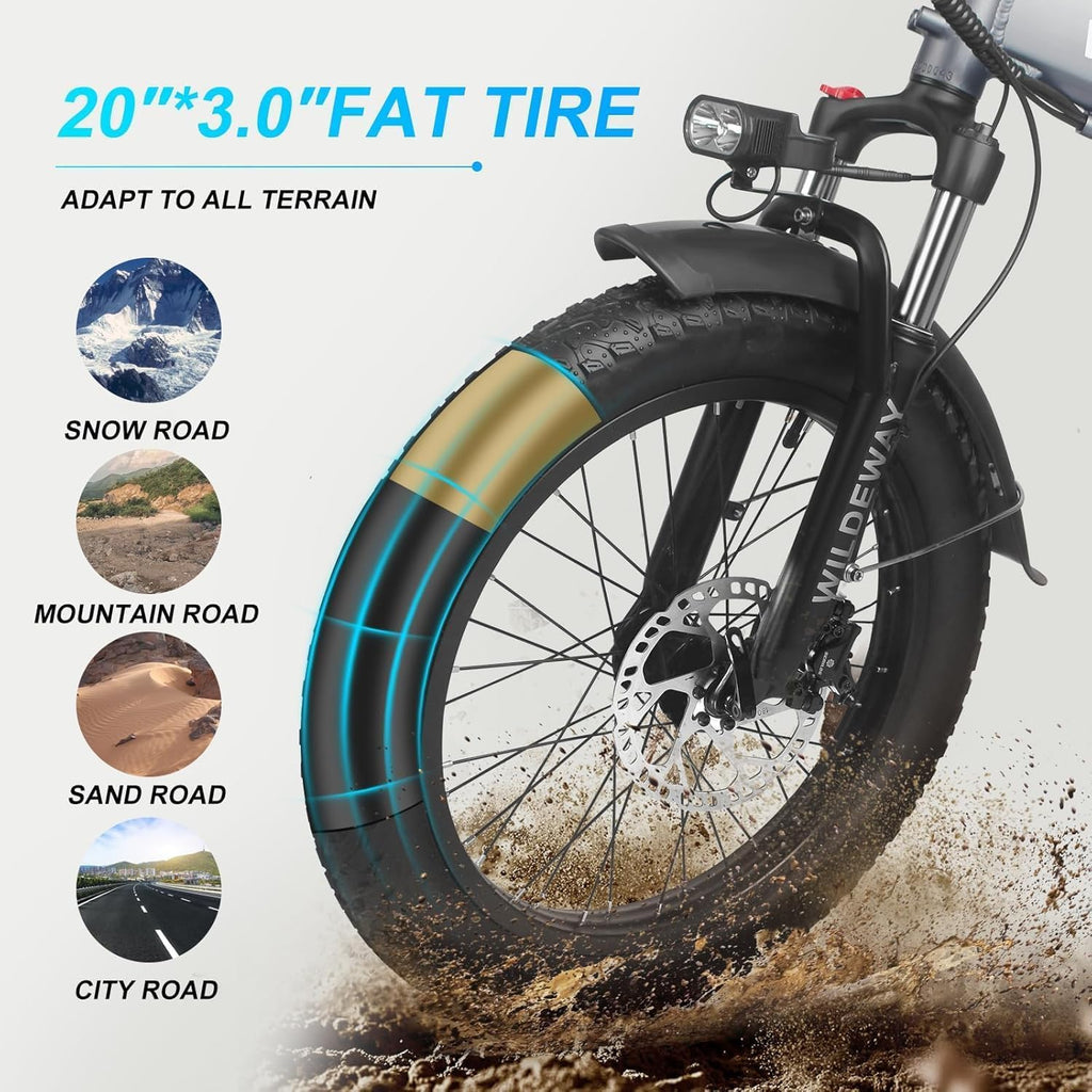 Wildeway Folding Electric Bike for Adults with 750W Motor 32Ah Battery Long Range FW11 Ebike 20 * 3.0 Fat Tire Foldable Adults Electric Bicycle for Men Women City Commuter Delivery 2 Seat