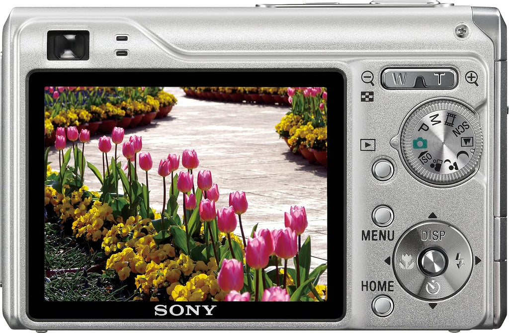 Sony Cybershot DSCW200 12.1MP Digital Camera with 3x Optical Zoom and Super Steady Shot