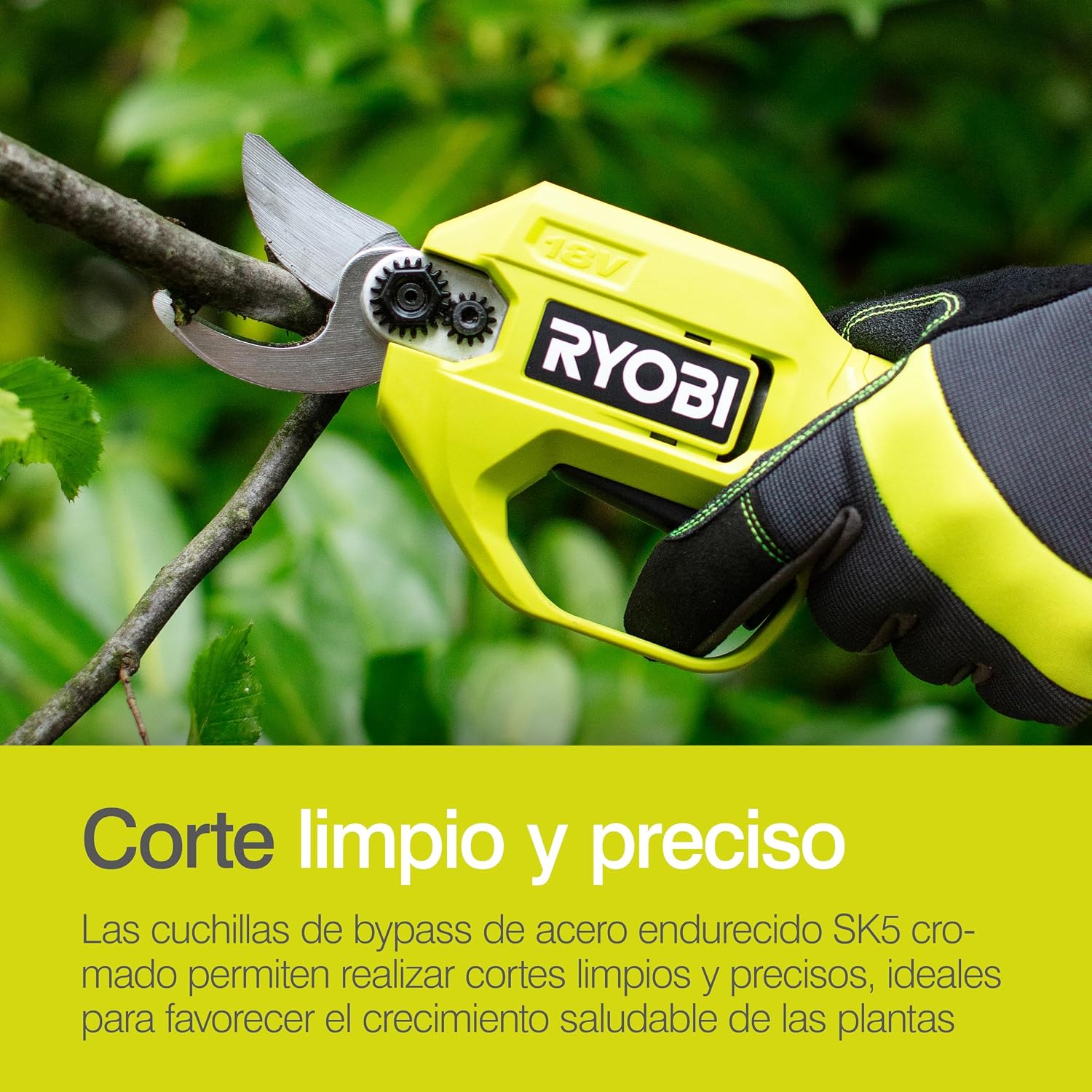 Ryobi RY18SCA-0 18V ONE+ Cordless Secateurs (Bare Tool), Black