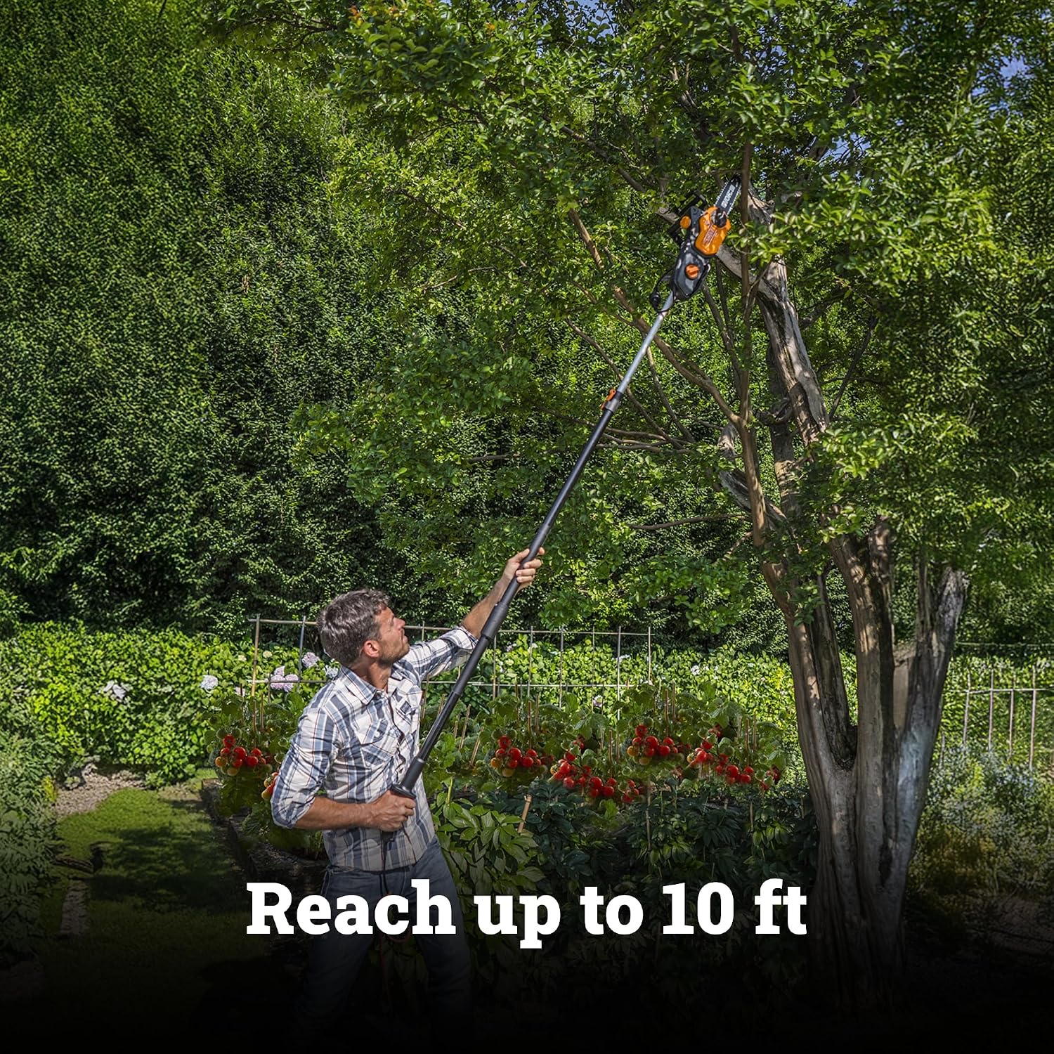 WORX Pole Saw, 8 Amp 10' Electric Pole Saw, Up to 10 ft., 28 ft/s chain speed