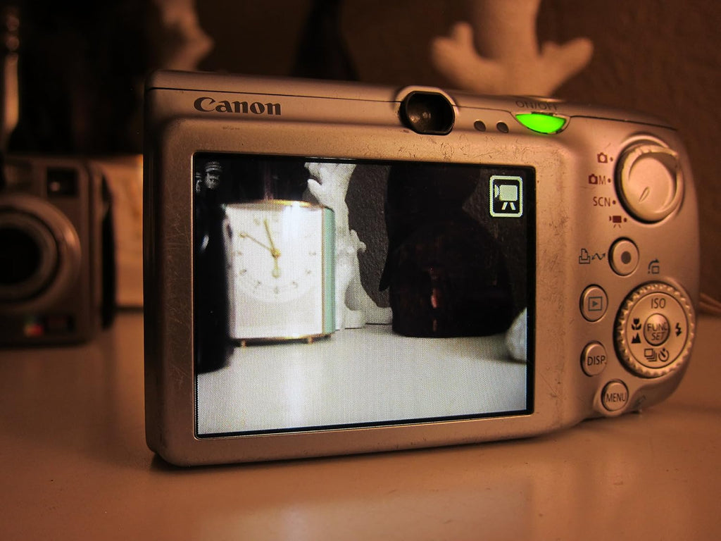 Canon PowerShot SD890IS 10MP Digital Camera with 5x Optical Image Stabilized Zoom