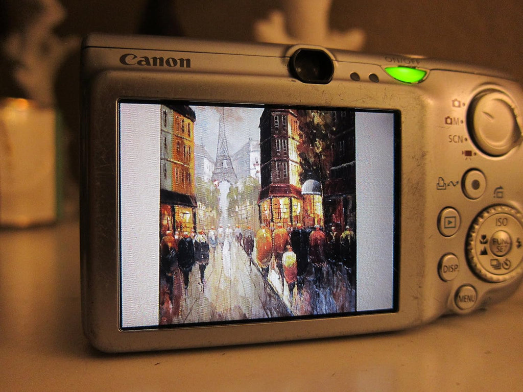 Canon PowerShot SD890IS 10MP Digital Camera with 5x Optical Image Stabilized Zoom